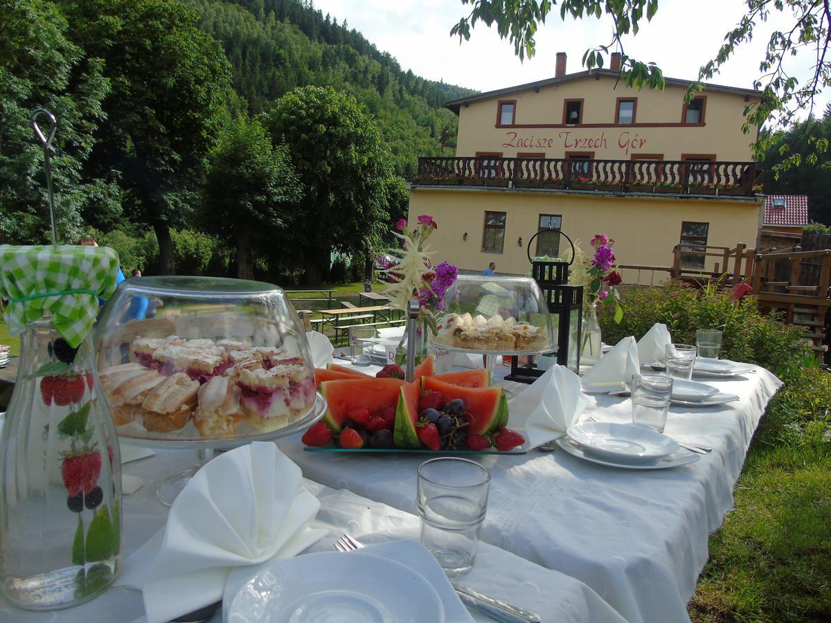 Zacisze Trzech Gor Villa Jedlina-Zdroj Buitenkant foto