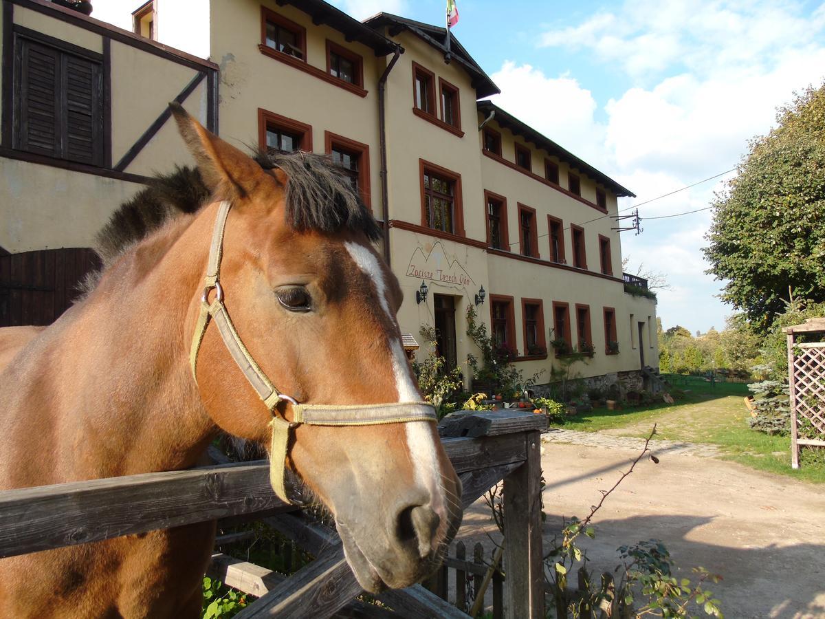 Zacisze Trzech Gor Villa Jedlina-Zdroj Buitenkant foto