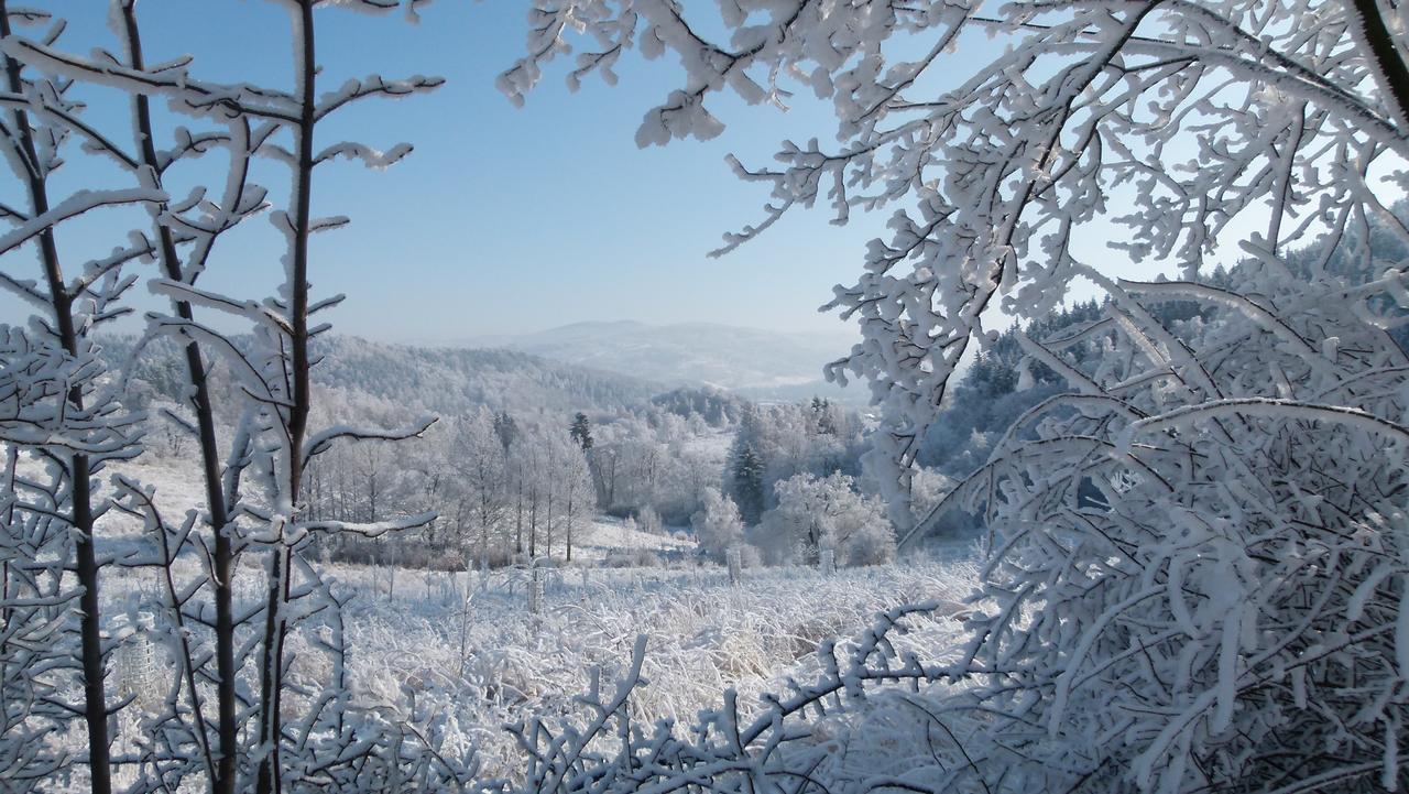 Zacisze Trzech Gor Villa Jedlina-Zdroj Buitenkant foto