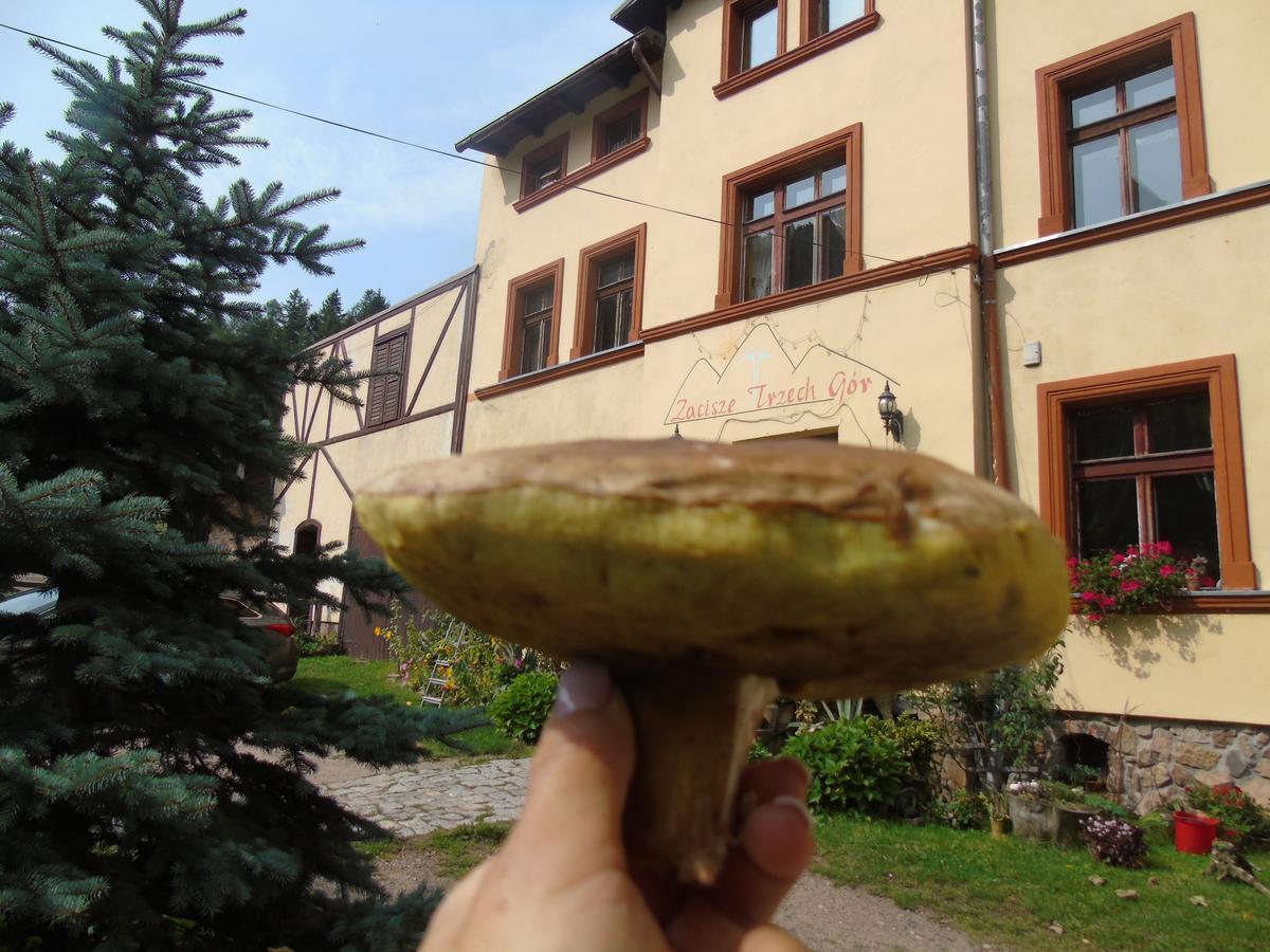 Zacisze Trzech Gor Villa Jedlina-Zdroj Buitenkant foto