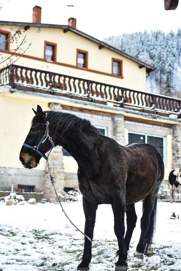 Zacisze Trzech Gor Villa Jedlina-Zdroj Buitenkant foto