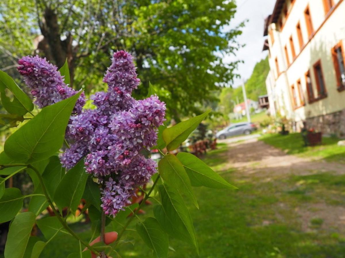 Zacisze Trzech Gor Villa Jedlina-Zdroj Buitenkant foto